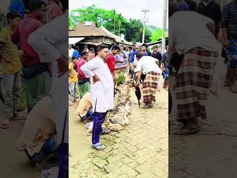 #super #funny #comedy #shortvideo #funnyshorts #shots #funnycomedy #comdy #shorts