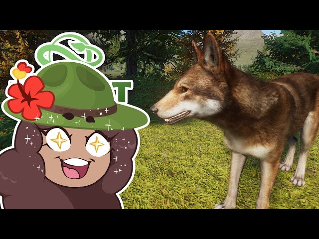 Red Wolves?! Chipmunks?! NEW Animal Mod Adventures!!? Planet Zoo: Redwood Park • #1