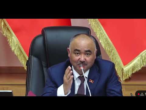 Төрага: Текшерүүчү органдардын санын азайтуу зарыл