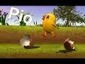 Animales en la Radio