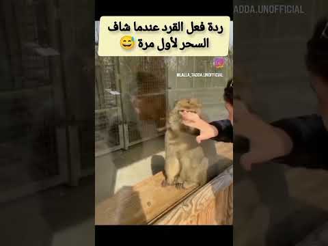 ١٢ أكتوبر، ٢٠٢٤