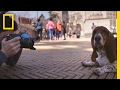 Dog Photography and Connection