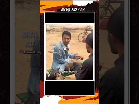 Funny video Tamil 😂l#Sivakdtroll animals fun videos Tamil #animals #funny #fun #trending #voiceover