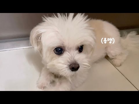 신발보다 작은 환희의 집 지키기 루틴