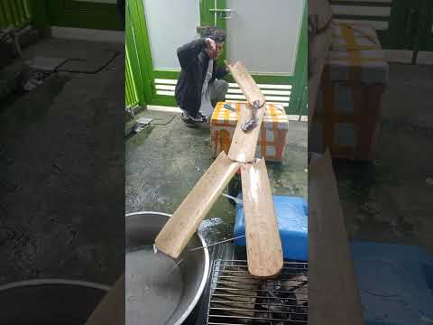 Ang galing ng isda #video #trending #funny #fyp #viral