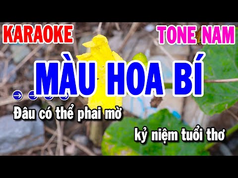 Karaoke Màu Hoa Bí Tone Nam | Nhạc Sống Trữ Tình Dễ Hát | Karaoke Thanh Hải