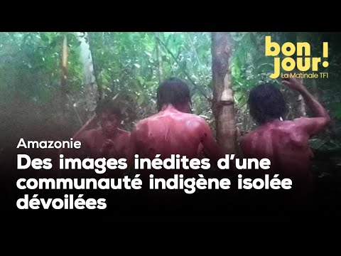 Amazonie : des images inédites d'une communauté indigène isolée dévoilées  ｜TF1 INFO