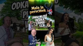 Dj Paul Ľudová Tvorba a Gabriella - Mala Ja Perscinek #shorts  #duet #slovakia #folklór #polka