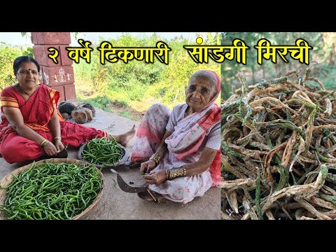 तोंडाला पाणी सोडणारी २ kg दह्यामध्ये केली पारंपरिक दही सांडगी मिरची वाळवणाची दही मिरची | dahi mirchi
