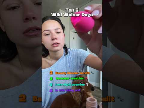 THE WILDEST WEINER DOGS RANKED ๐ญ