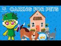 Pet Care and Behavior Questions
