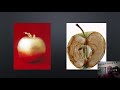 Gilded Age Social and Economic Issues