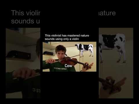 TURN YOUR VIOLIN ON A COW! #shorts #music