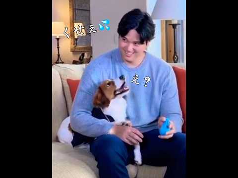 【デコピン】やんちゃ過ぎてやらかしてしまう #大谷翔平 #shoheiohtani #パワプロ