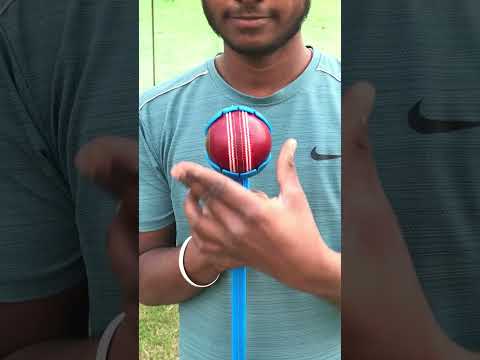 इसे बोलते है घोड़ा🐎😳 ये क्या हुआ🥵😱#shorts #cricwidpratap #viral  #top #ytshorts