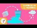 Cambios de Estado de la Materia