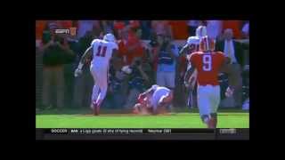 Clemson Season Highlights 2014