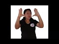 Understanding the Video Tutorial