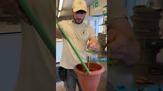 Enrichment challenge ep 4