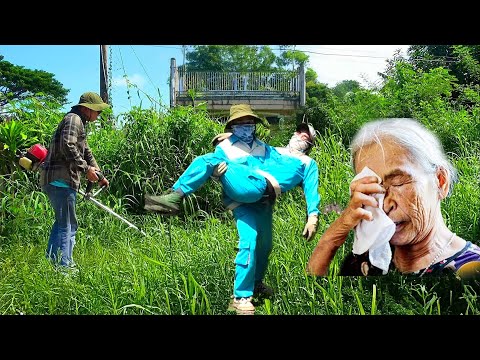 Shock: Help the Old lady Clean up an Abandoned House with Overgrown Grass Blocking the Entrance
