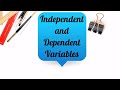 Understanding Independent and Dependent Variables