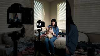 Angry cat loves Pixel Dojo to generate AI Videos using Google VEO 3