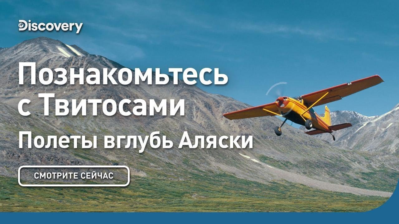 Познакомьтесь с Твитосами Полеты вглубь Аляски