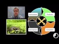 Ecosystem Dynamics and Energy Flow