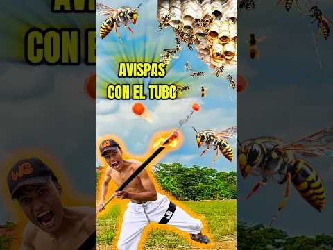 Suscríbete Y Muy Pronto Tumbas Avispas Con El Tuvo ☄️