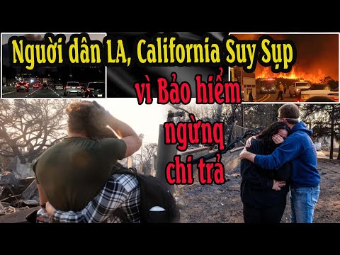 Nguời dân LA, California Suy Sụp vì Bảo hiểm ngừnq chi trả