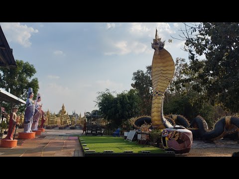 หลวงพี่เขียว พาชมปู่พญานาคดำพาราเหล็ก วัดป่ากุดน้ำคำ