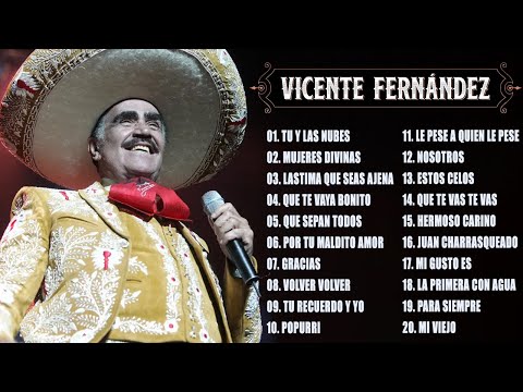 VICENTE FERNANDEZ MIX ROMANTICAS VIEJITAS PARA ADOLORIDOS (GRANDES EXITOS DE COLECCION)