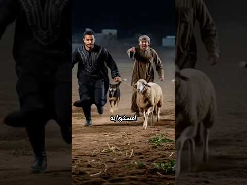 سرق خروفًا للسحر… فانقلبت عليه الطلاسم!