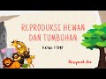 Kuis Reproduksi Makhluk Hidup