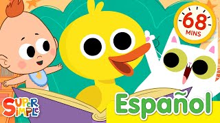 500 Patos Y Más | ¡Canciones divertidas para niños! | Super Simple Español