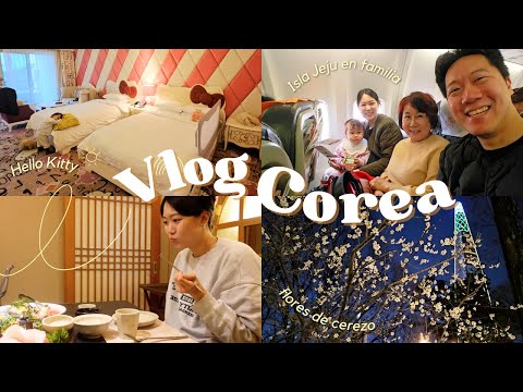 Vlog Corea | Viaje a la Isla Jeju en familia, Habitación de Hello Kitty, Flores de cerezo en Marzo