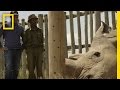 Impact of Climate Change and Conservation