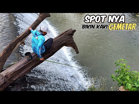 Dari Mancing diselokan Sampai pindah ke sungai besar yang tidak pernah di pancingi Gubernur