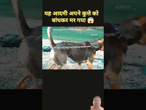 😱😱Real fact of dog.. #doglover #facts #animals #subscribe