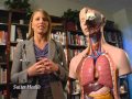 Understanding Inflammation and Health