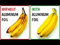 Food Storage Best Practices