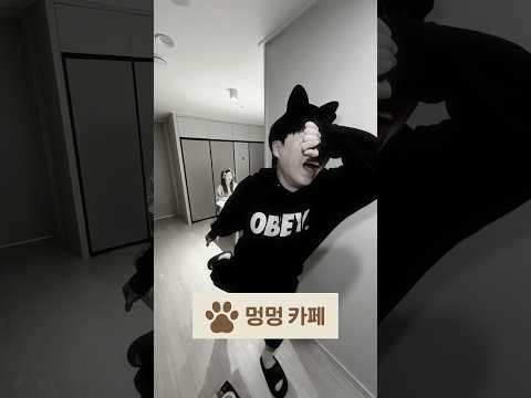 우리집 강아지가 여친을 데려온다면?