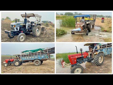 गेहूँ की फसल में पहला पानी Eicher 485 with 30 KVA Altinator Swaraj 855 Fe Old vs New Model Trolley