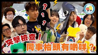 【公司調查】究竟大家枱面有咩公仔？｜小薯茄日常 Pomato Daily｜小薯茄日常 Pomato Daily