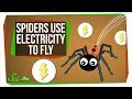 Spider Ballooning and Atmospheric Electricity