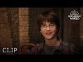 Harry Potter's Journey to Platform 9 3/4
