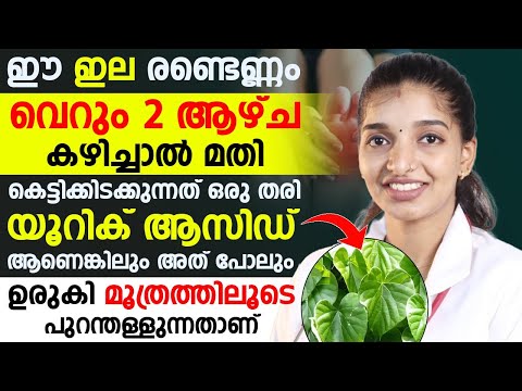 യൂറിക് ആസിഡ് കുറക്കാൻ ഈ ഇല രണ്ടെണ്ണം ഒരാഴ്ച കഴിച്ചാൽ മതി | uric acid kurakkan | dr.ashna