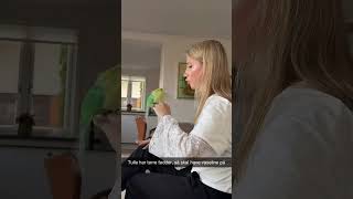 Tulle har tørre fødder