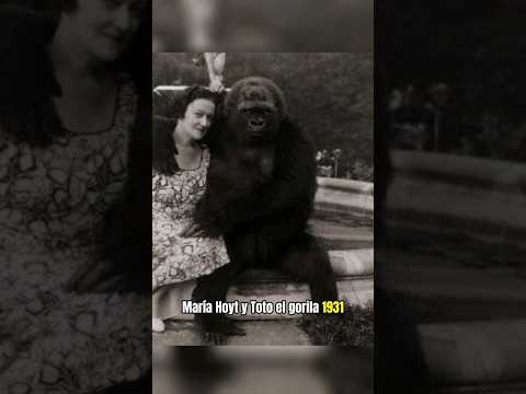Maria Hoyt y Toto el gorila.
