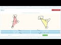 Triangle Congruence Concepts